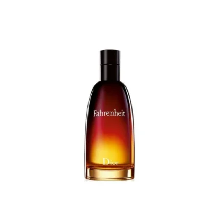 dior fahrenheit eau de toilette 100ml for men