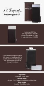 s.t. dupont passenger eau de toilette 100ml for men